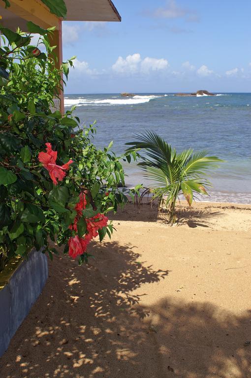 Veranda View Guesthouse Calibishie Exterior photo